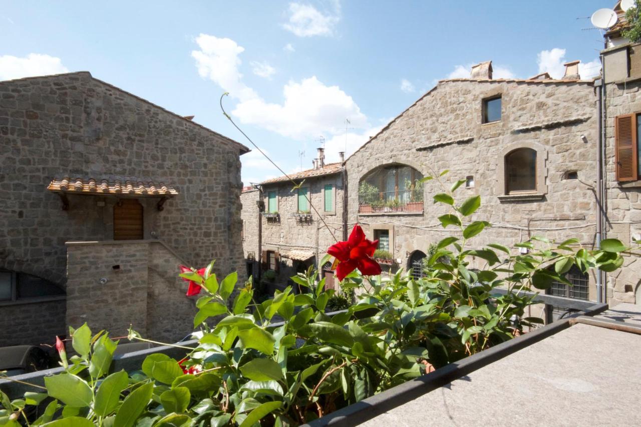 Il Gallo Nero Viterbo Ngoại thất bức ảnh
